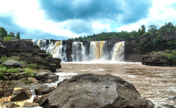 Spiritual Gujarat with Polo Forest